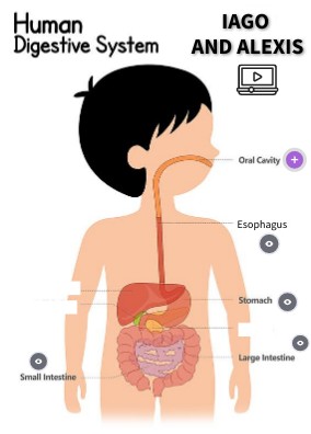 POSTER DIGESTIVE SYSTEM | Genially