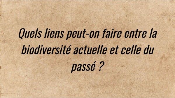 Lien entre biodiversités actuelle et passée