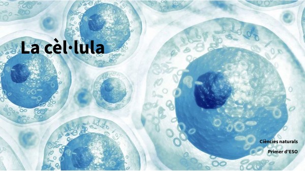 S1 La cèl·lula