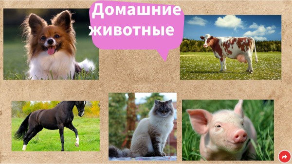 Домашние животные