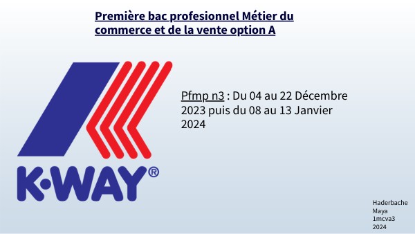 Dossier interactif basique