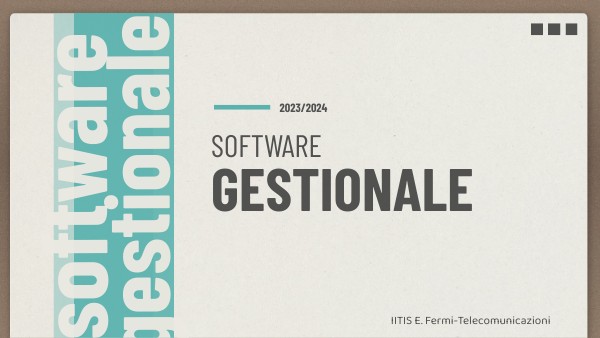 Software Gestionale