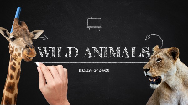 PRESENTACIÓN WILD ANIMALS | Genially
