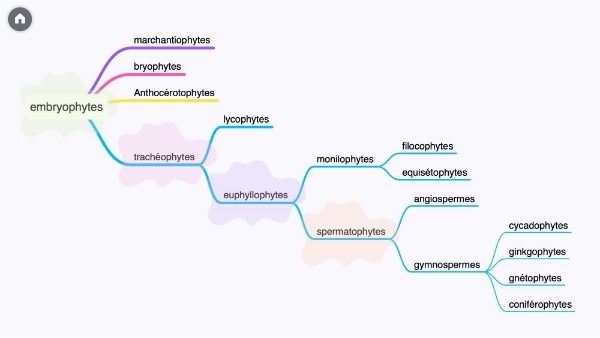 Embryophytes