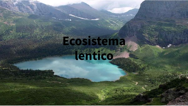 Ecosistema lentico
