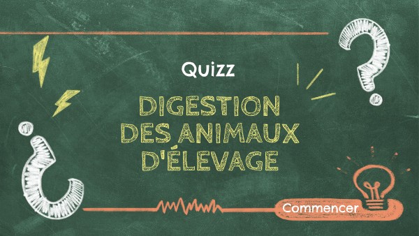 QUIZZ D BUTANT NUM RO 1 visual data 8
