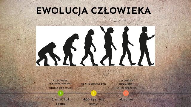 Biologia Klasa 8 Nowa Era Ewolucja Ewolucja człowieka