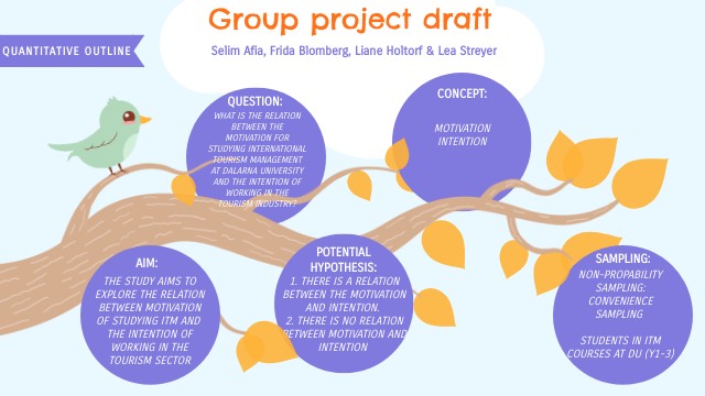 Group project outlines draft 1