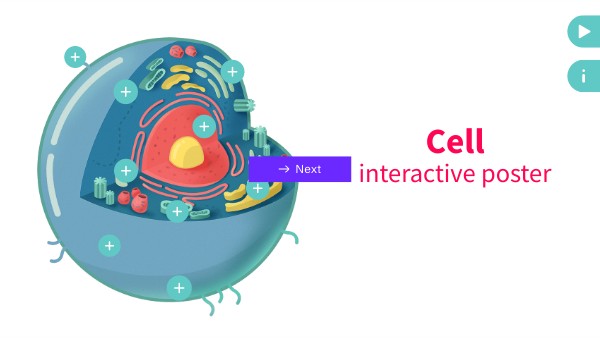 Poster interattivo cellula