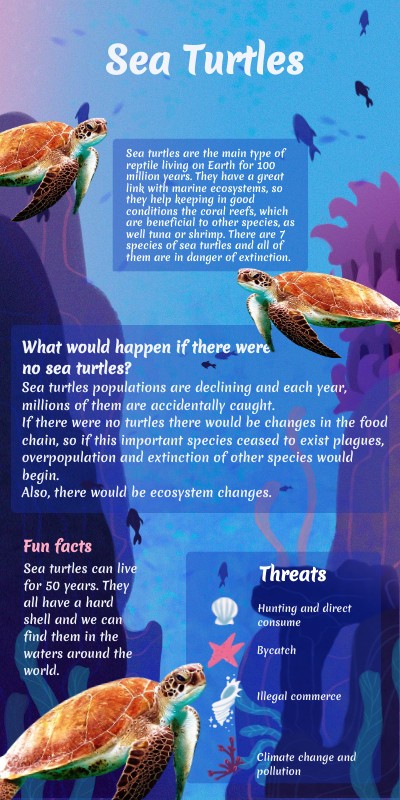 sea turtles