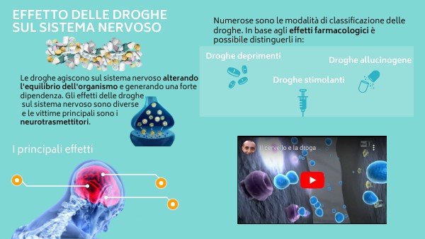 Effetto Della Droga Sul Sistema Nervoso EFFETTO DELLE DROGHE SUL SISTEMA NERVOSO | Genially