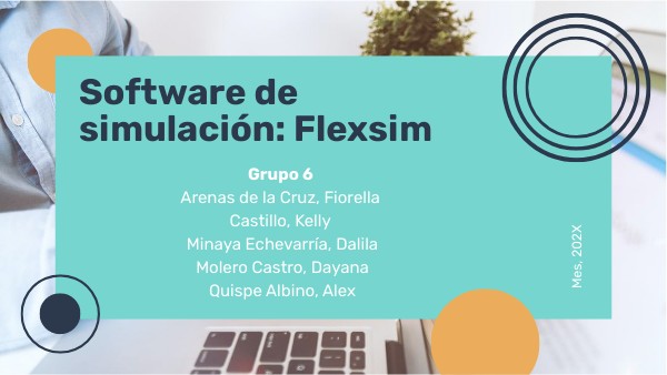 FLEXSIM