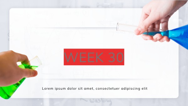 Week 31 | Genially