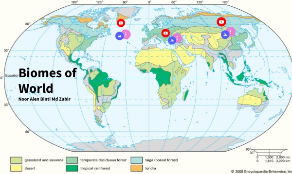 Biomes of World | Genially