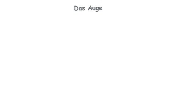 "Das Auge" beschriften