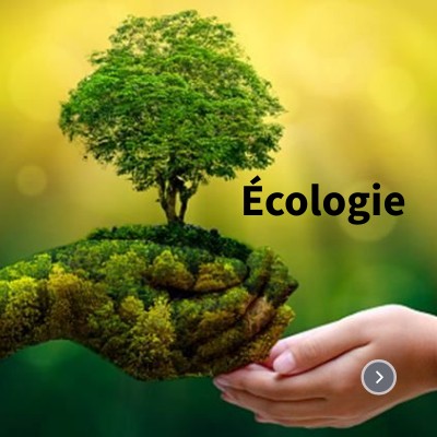 Écolo ou pas écolo main image 0