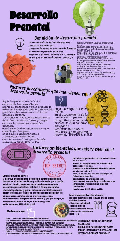 Genially Infografía Desarrollo prenatal | Genially