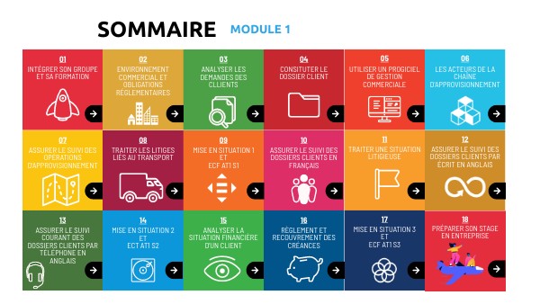 Sommaire Module 1 | Genially