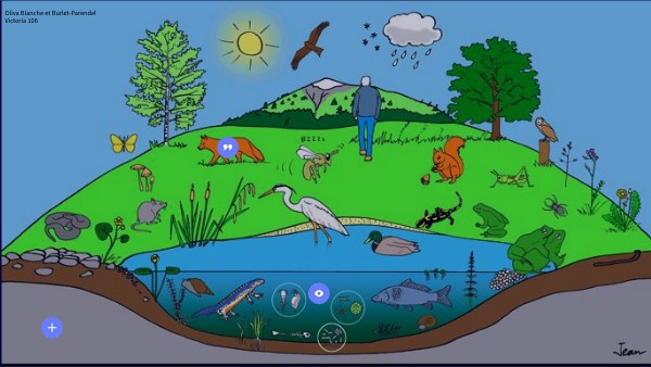 BASIC INTERACTIVE IMAGE