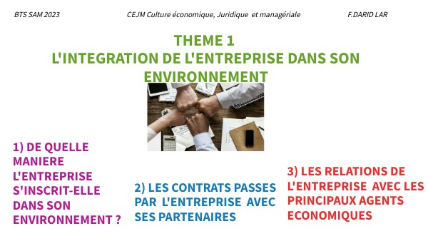 THEME 1 L'INTEGRATION DE L'ENTREPRISE DANS SON ENVIRONNEMENT