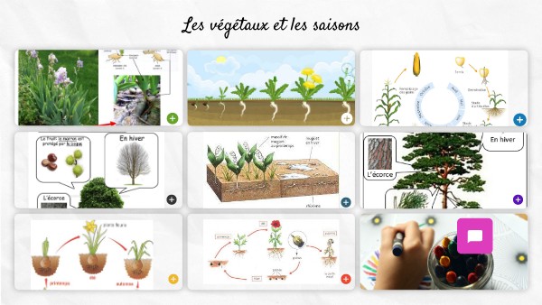 évaluation Svt 6ème Les Végétaux Au Cours Des Saisons view.genially.com