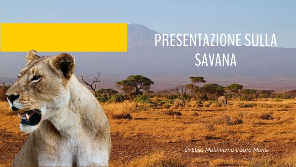 ANIMALS PRESENTATION | Genially