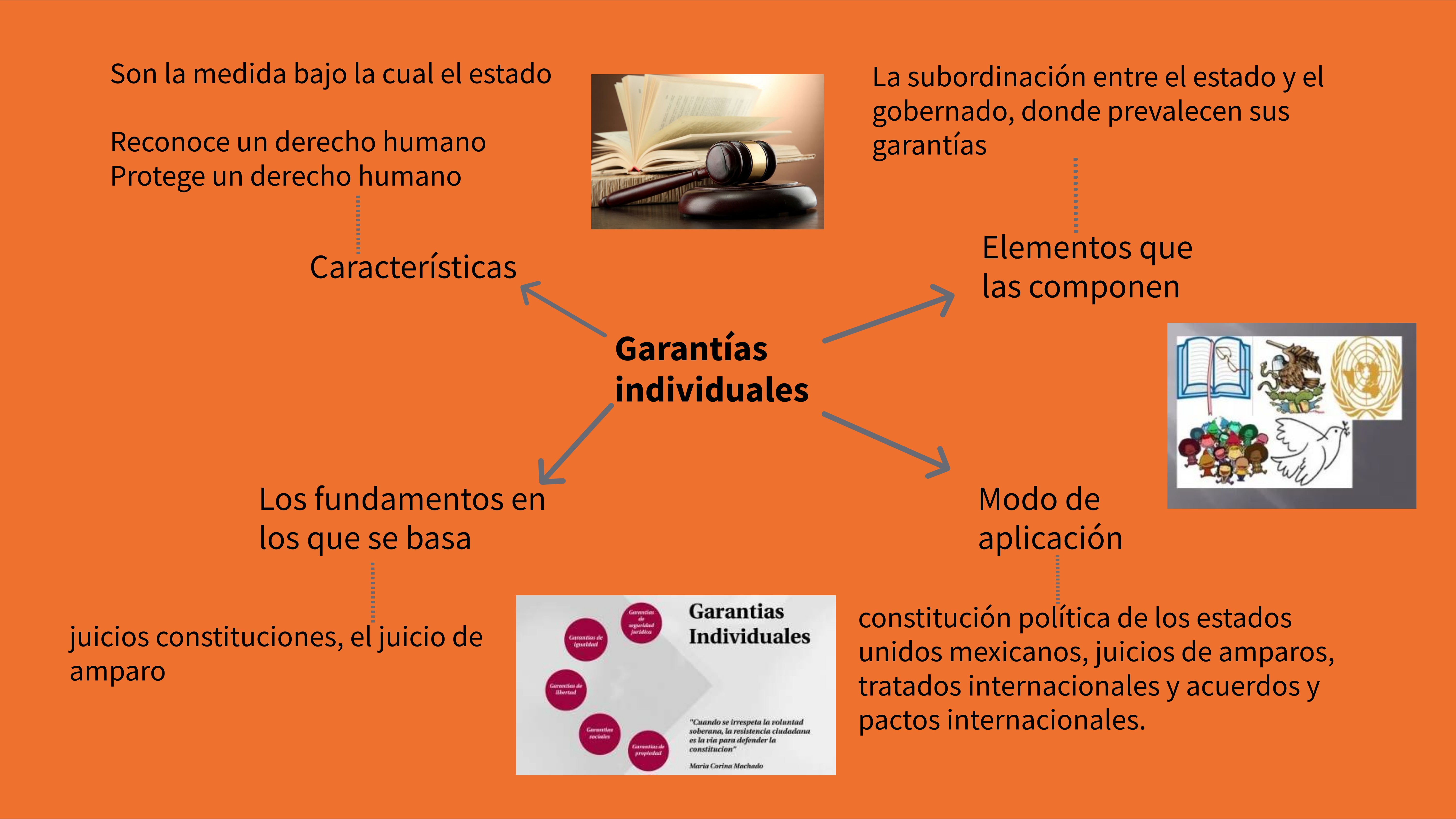 Garantías individuales