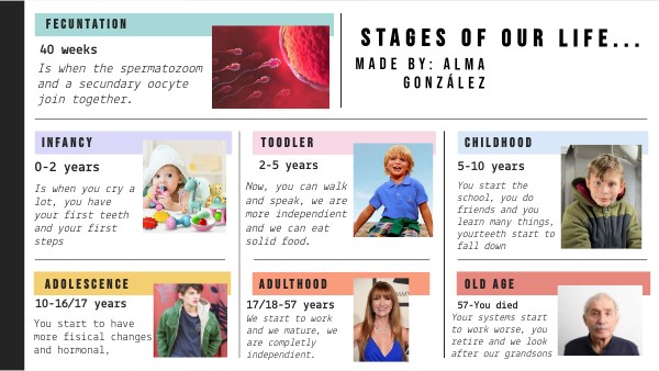 Stages of our life... | Genially