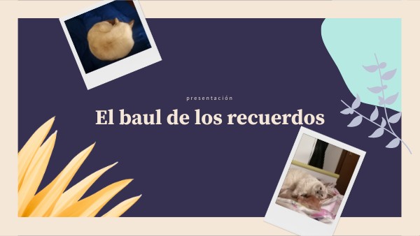 SPANISH PRESENTATION
