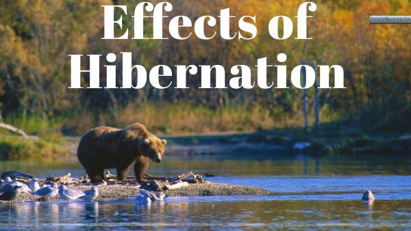 NATURE PRESENTATION | Genially
