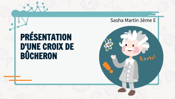 EINSTEIN PRESENTATION