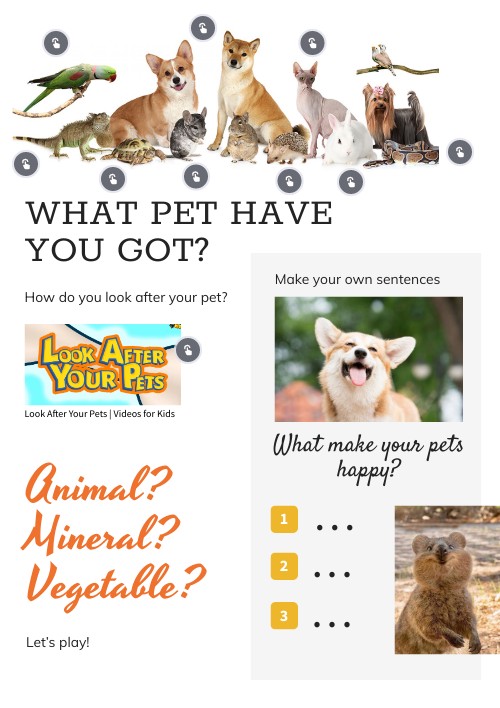 3 Your Pet Genially