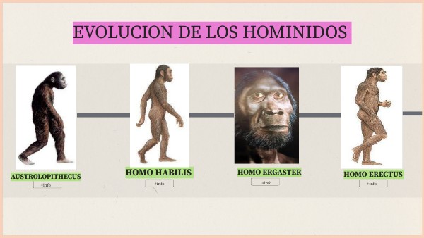 EVOLUCION DE LOS HOMINIDOS