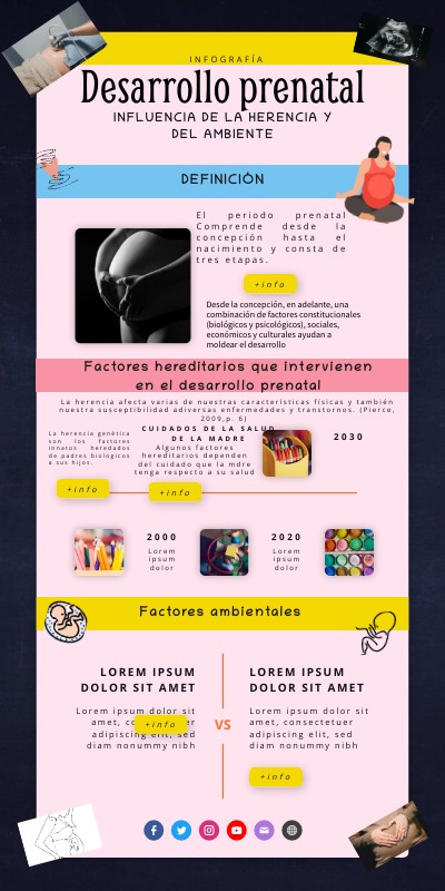 Infografía. Desarrollo Prenatal | Genially