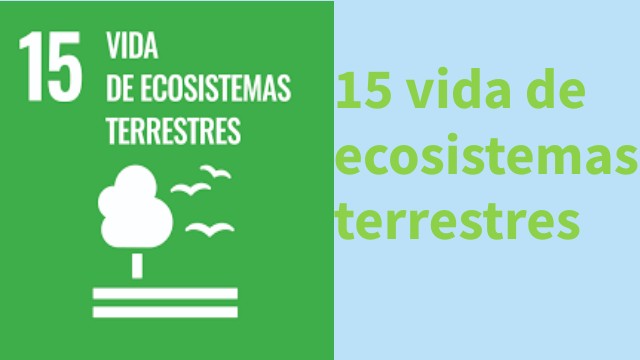Trabajo ODS | Genially