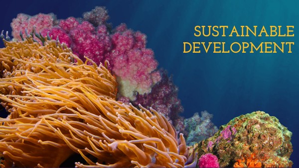 Sustainable development and goal 1