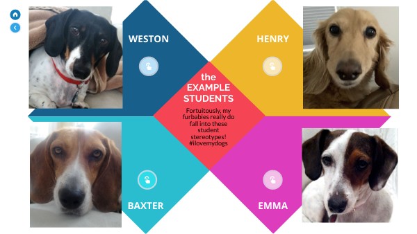 IL Example Students
