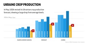 Ukraine Crop Production | Genially