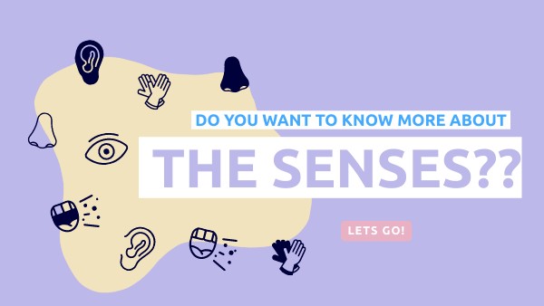 PRESENTACIÓN SENSES