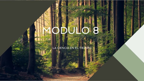 Actividad 3 Modulo 8 | Genially