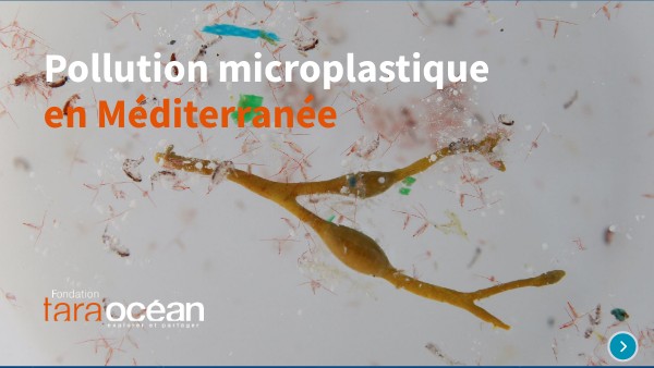Kit 3 - pollution plastique Mediterranee | Genially
