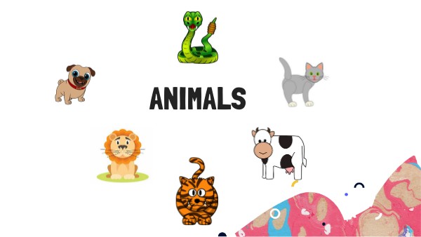 The Animals | Genially