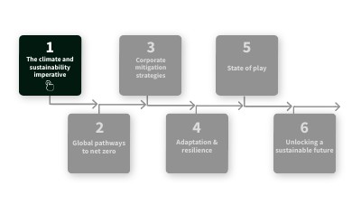 Chapter 1 Progress Map