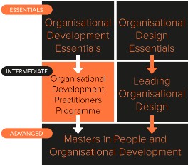 OD Programmes Diagram (ODDip)