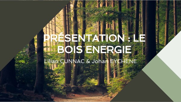 DIAGONAL PROJECT PRESENTATION | Genially