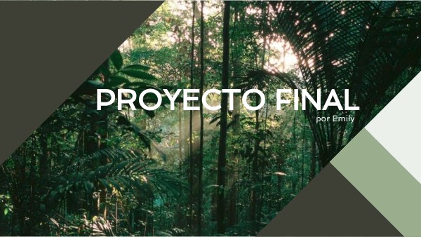 DIAGONAL PROJECT PRESENTATION | Genially