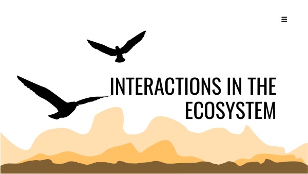 Interactions in the ecosystem
