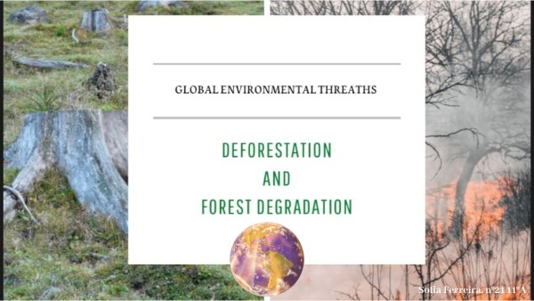 deforestation and forest degradation | Genially