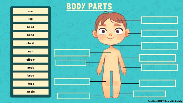BODY PARTS GAME | Genially
