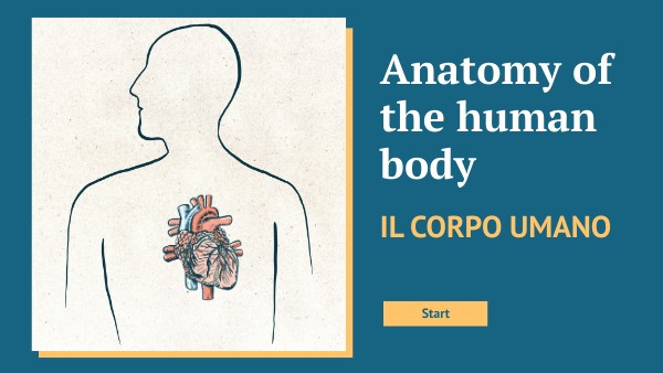 ANATOMY OF THE HUMAN BODY | Genially